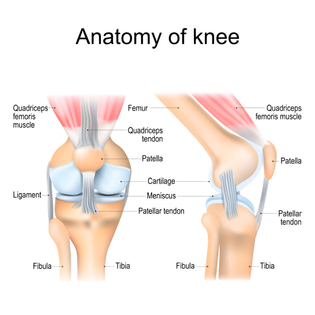 Why knee pain after workout- Dr Rik Kundra
